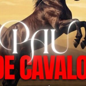 Pau de Cavalo
